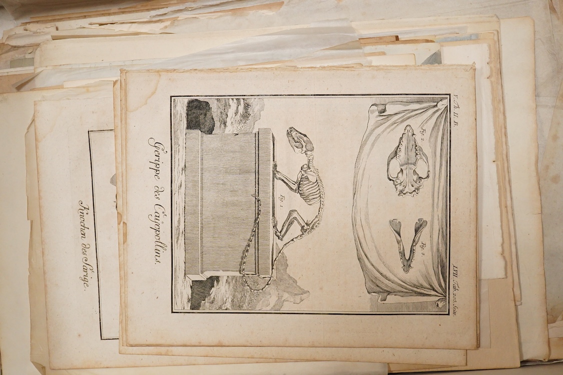 A group of hand coloured engravings, to include a heraldic example, trade advertisement labels and pen and ink and watercolour sketches, 18th/19th century